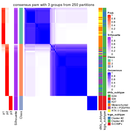 plot of chunk tab-CV-pam-consensus-heatmap-2