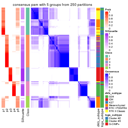plot of chunk tab-CV-pam-consensus-heatmap-4