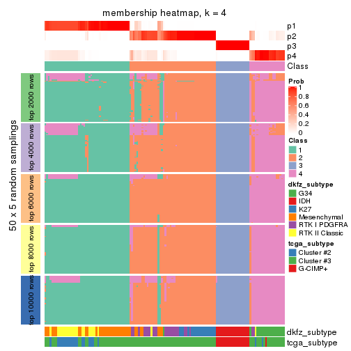 plot of chunk tab-CV-pam-membership-heatmap-3