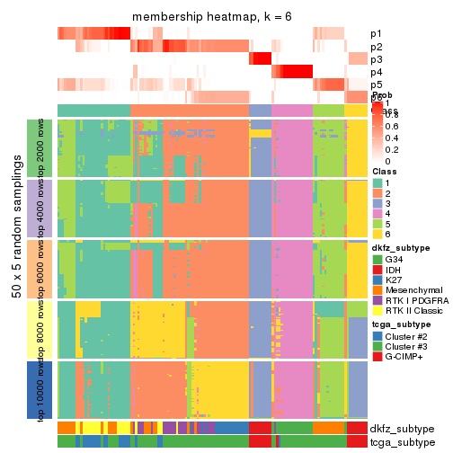 plot of chunk tab-CV-pam-membership-heatmap-5