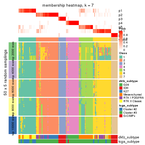 plot of chunk tab-CV-pam-membership-heatmap-6