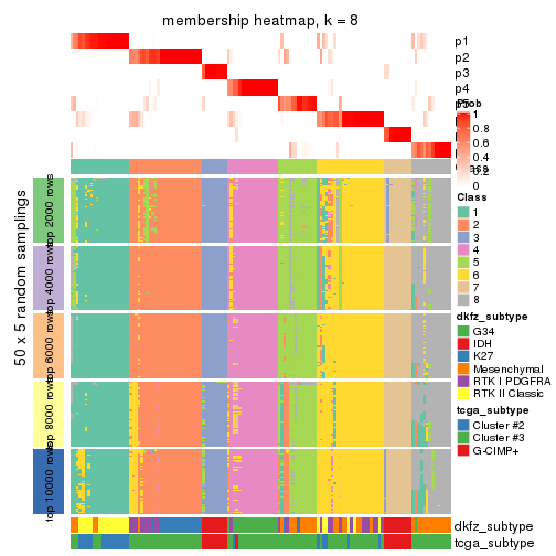 plot of chunk tab-CV-pam-membership-heatmap-7