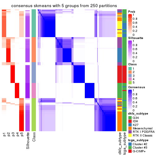 plot of chunk tab-CV-skmeans-consensus-heatmap-4