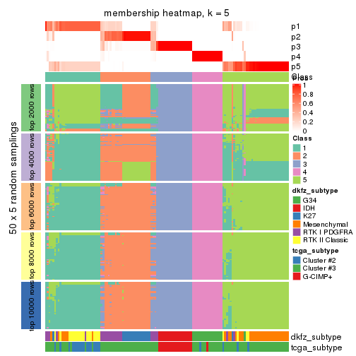 plot of chunk tab-CV-skmeans-membership-heatmap-4