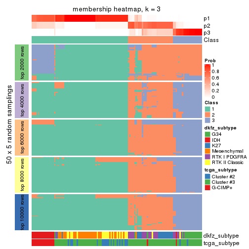 plot of chunk tab-MAD-hclust-membership-heatmap-2
