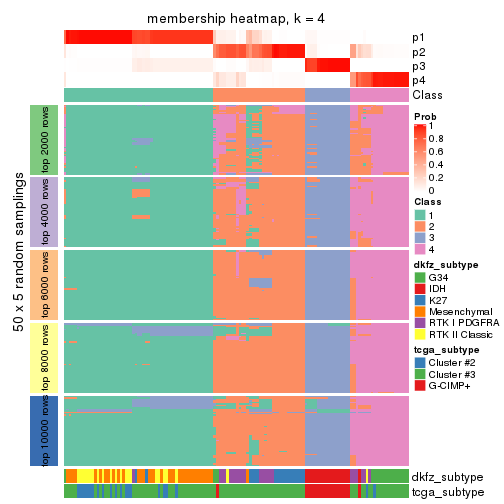 plot of chunk tab-MAD-hclust-membership-heatmap-3