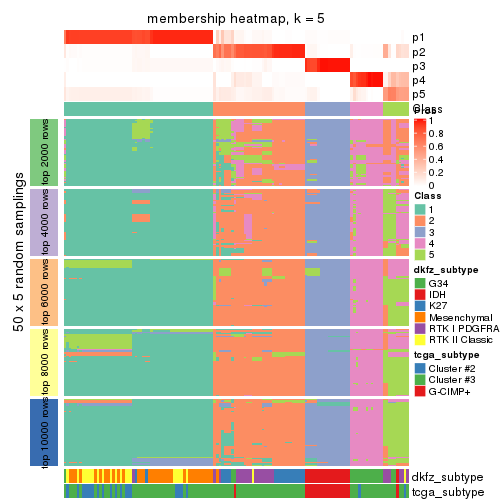 plot of chunk tab-MAD-hclust-membership-heatmap-4