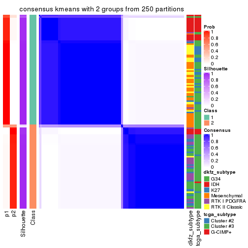 plot of chunk tab-MAD-kmeans-consensus-heatmap-1