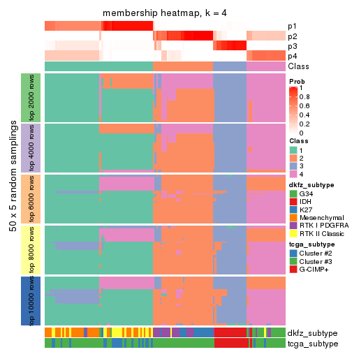 plot of chunk tab-MAD-kmeans-membership-heatmap-3