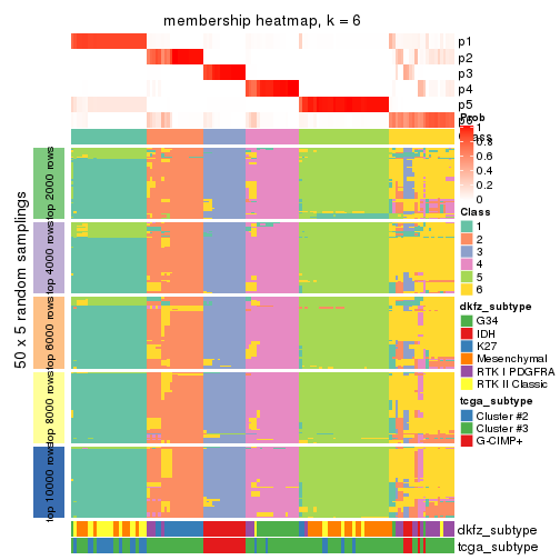 plot of chunk tab-MAD-kmeans-membership-heatmap-5