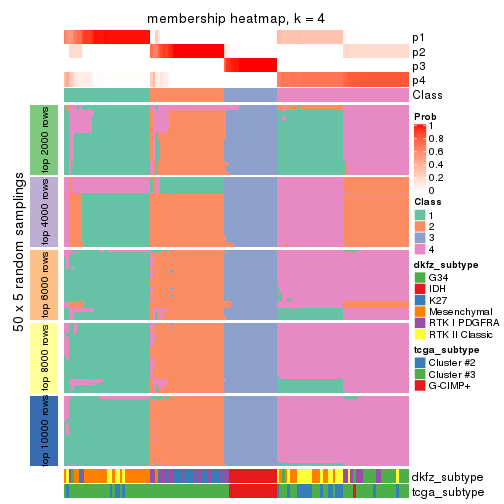 plot of chunk tab-MAD-mclust-membership-heatmap-3
