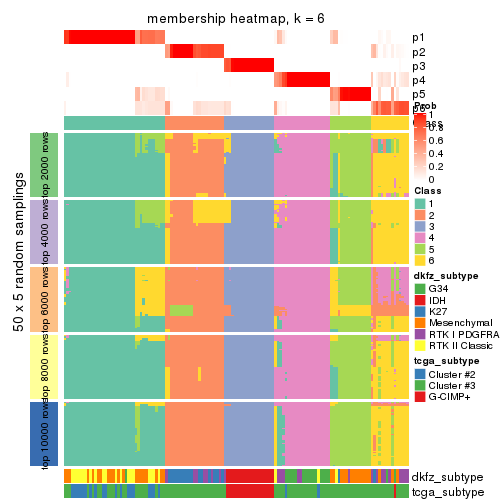 plot of chunk tab-MAD-mclust-membership-heatmap-5