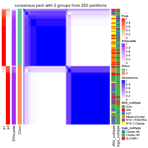 plot of chunk tab-MAD-pam-consensus-heatmap-1