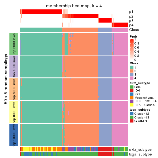 plot of chunk tab-MAD-pam-membership-heatmap-3