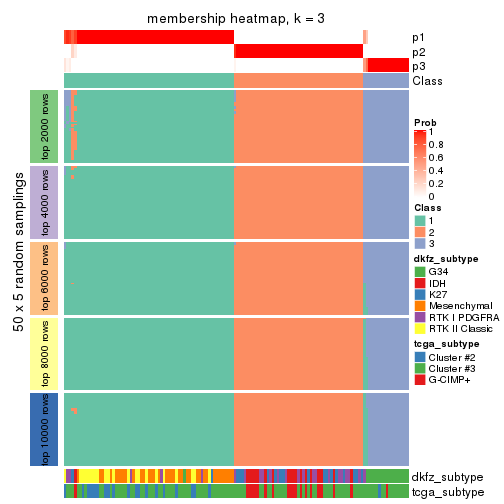 plot of chunk tab-MAD-skmeans-membership-heatmap-2