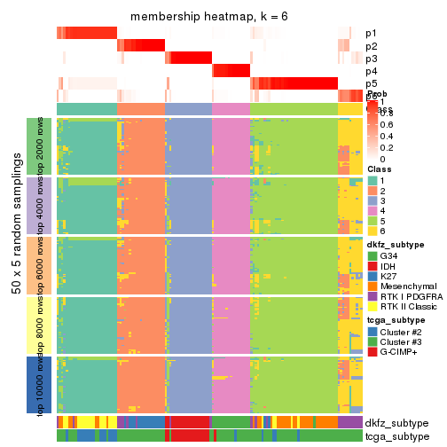 plot of chunk tab-MAD-skmeans-membership-heatmap-5
