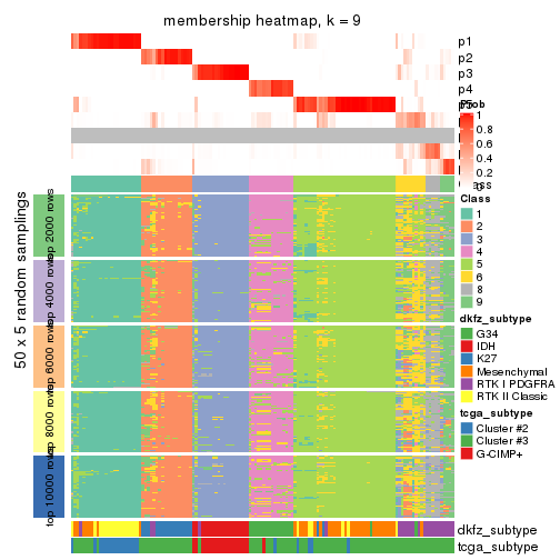 plot of chunk tab-MAD-skmeans-membership-heatmap-8
