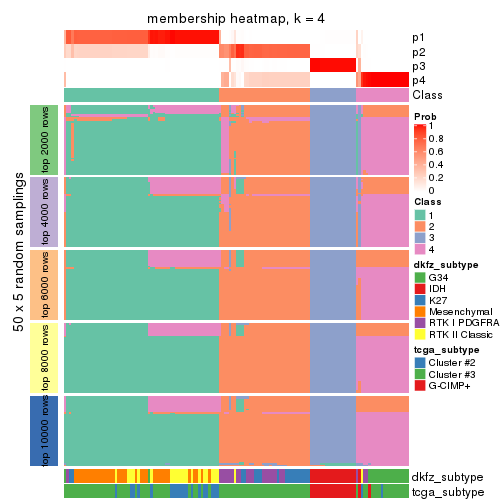 plot of chunk tab-SD-kmeans-membership-heatmap-3