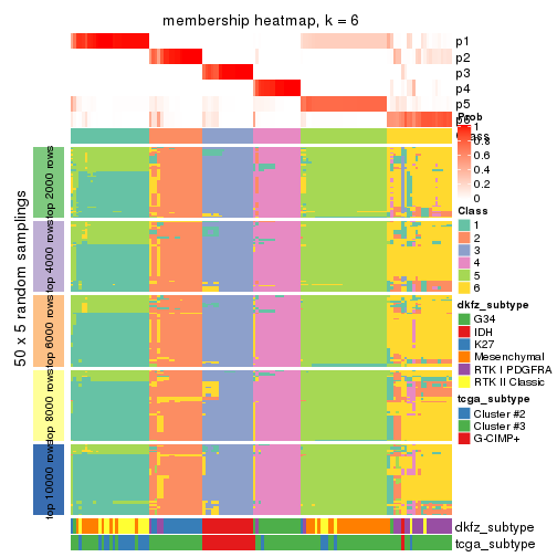 plot of chunk tab-SD-kmeans-membership-heatmap-5