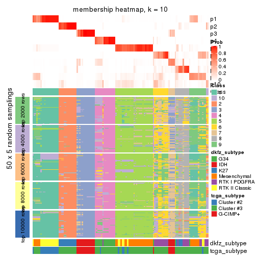 plot of chunk tab-SD-kmeans-membership-heatmap-9