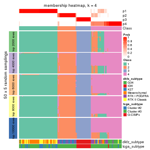 plot of chunk tab-SD-mclust-membership-heatmap-3
