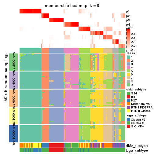 plot of chunk tab-SD-mclust-membership-heatmap-8