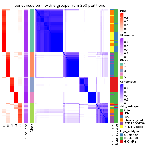 plot of chunk tab-SD-pam-consensus-heatmap-4