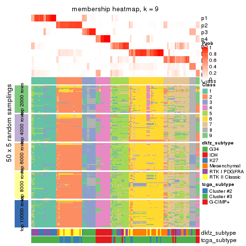 plot of chunk tab-ATC-kmeans-membership-heatmap-8