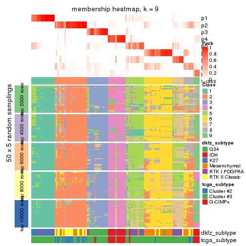 plot of chunk tab-ATC-mclust-membership-heatmap-8
