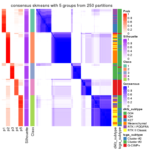 plot of chunk tab-ATC-skmeans-consensus-heatmap-4