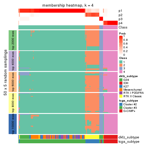 plot of chunk tab-CV-hclust-membership-heatmap-3