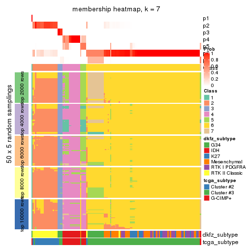 plot of chunk tab-CV-hclust-membership-heatmap-6