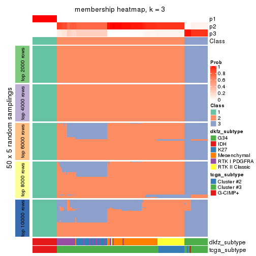 plot of chunk tab-CV-kmeans-membership-heatmap-2
