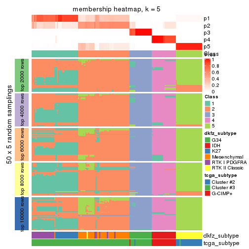 plot of chunk tab-CV-kmeans-membership-heatmap-4