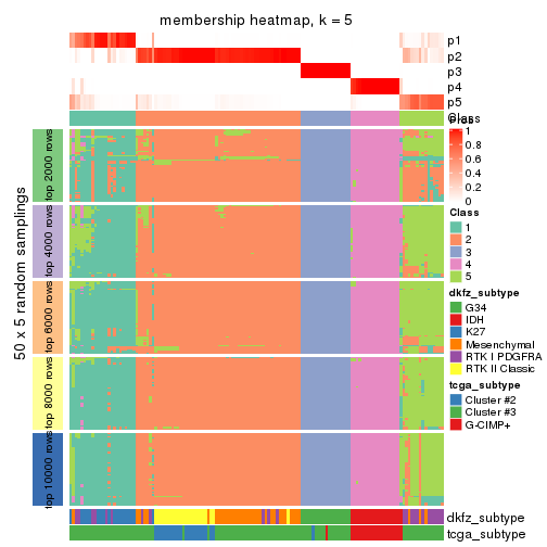 plot of chunk tab-CV-mclust-membership-heatmap-4