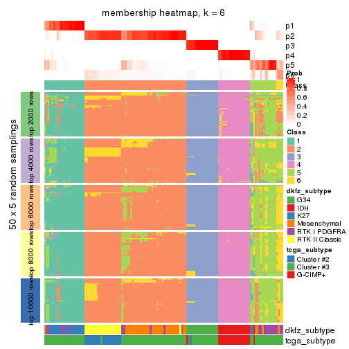 plot of chunk tab-CV-mclust-membership-heatmap-5