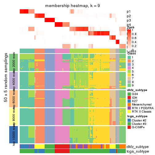 plot of chunk tab-CV-mclust-membership-heatmap-8