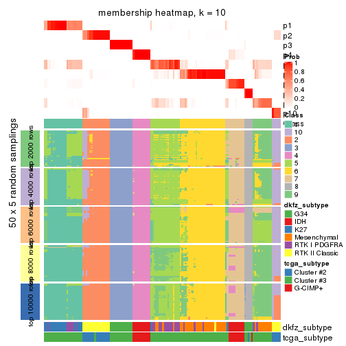 plot of chunk tab-CV-mclust-membership-heatmap-9