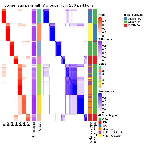 plot of chunk tab-CV-pam-consensus-heatmap-6