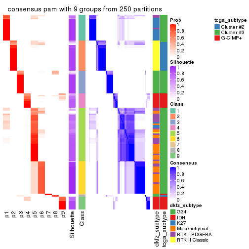 plot of chunk tab-CV-pam-consensus-heatmap-8