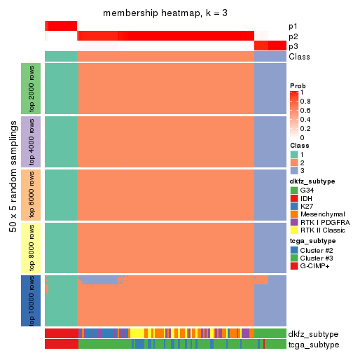 plot of chunk tab-CV-pam-membership-heatmap-2