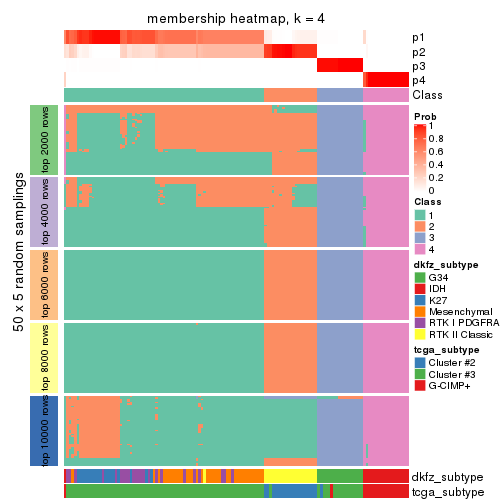plot of chunk tab-CV-pam-membership-heatmap-3