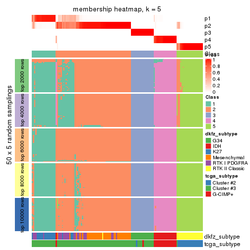 plot of chunk tab-CV-pam-membership-heatmap-4