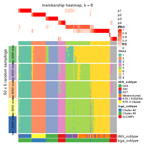 plot of chunk tab-CV-pam-membership-heatmap-7