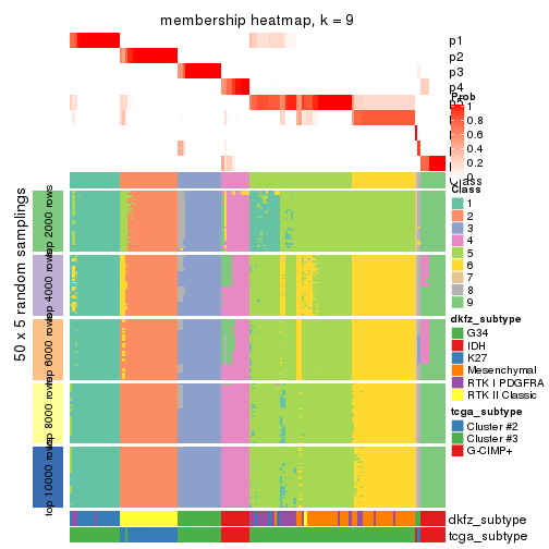 plot of chunk tab-CV-pam-membership-heatmap-8