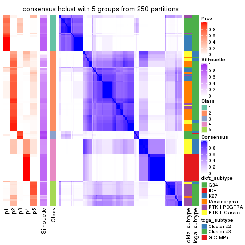 plot of chunk tab-MAD-hclust-consensus-heatmap-4
