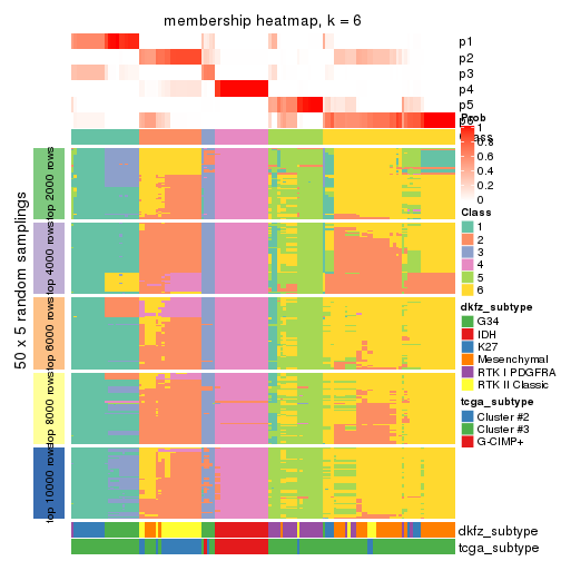 plot of chunk tab-MAD-hclust-membership-heatmap-5