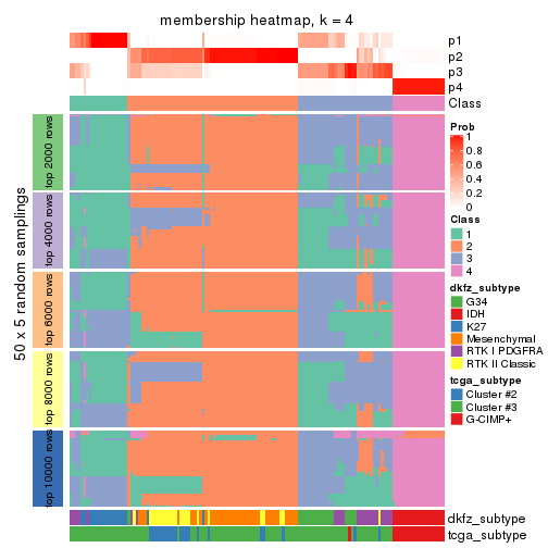 plot of chunk tab-MAD-kmeans-membership-heatmap-3