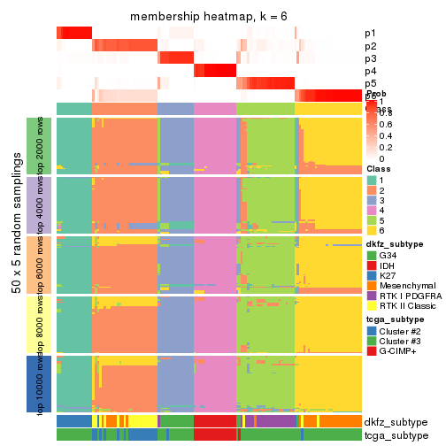 plot of chunk tab-MAD-kmeans-membership-heatmap-5
