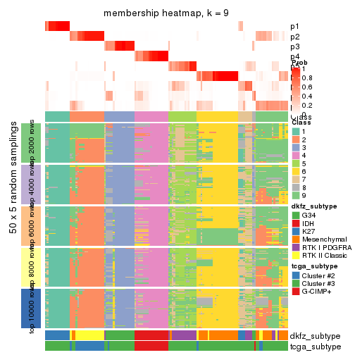 plot of chunk tab-MAD-kmeans-membership-heatmap-8